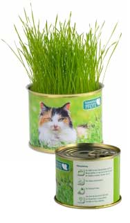 Katzen-Gras aus der Dose